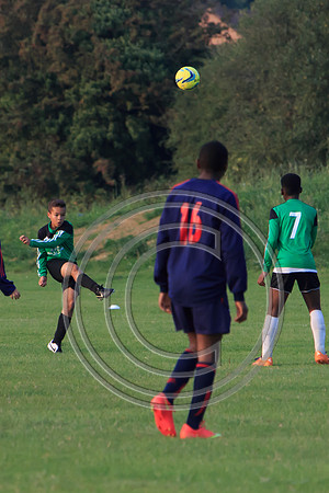 Eldon-2014 1469