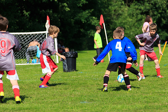 130629 Sandhurst Wanderers U8 at BTJ U9 Trny (338)