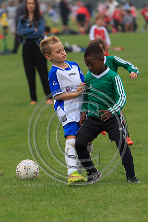Eldon-2014 312