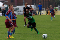 Eldon-2014 825