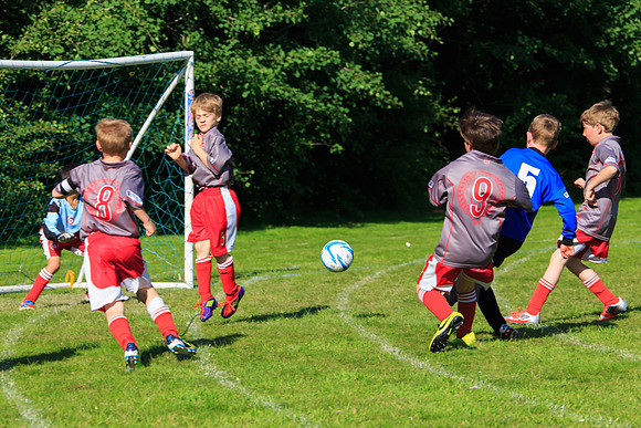 130629 Sandhurst Wanderers U8 at BTJ U9 Trny (440)
