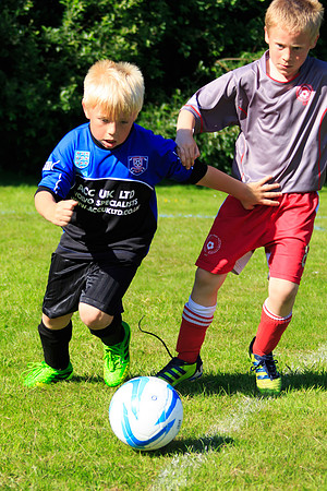 130629 Sandhurst Wanderers U8 at BTJ U9 Trny (373)