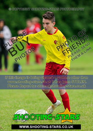 U13-2176