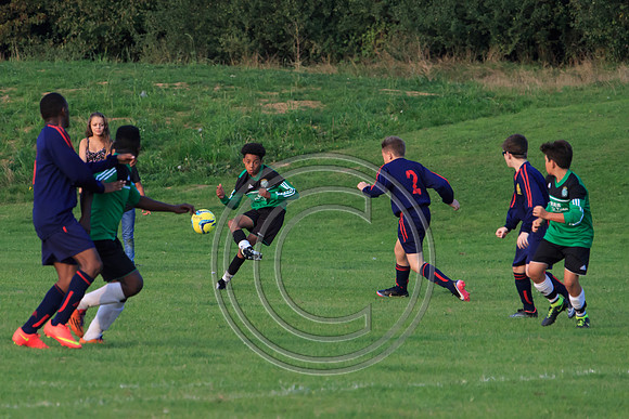 Eldon-2014 1453