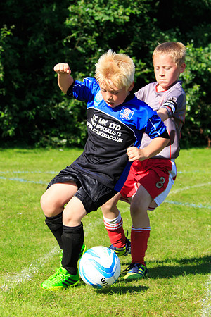 130629 Sandhurst Wanderers U8 at BTJ U9 Trny (372)