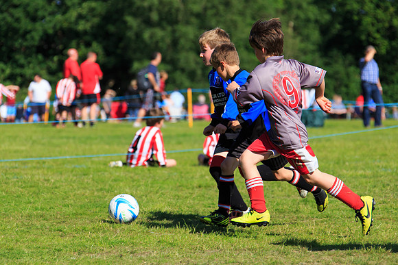 130629 Sandhurst Wanderers U8 at BTJ U9 Trny (341)