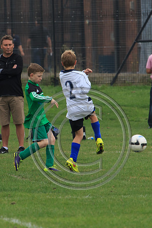 Eldon-2014 282