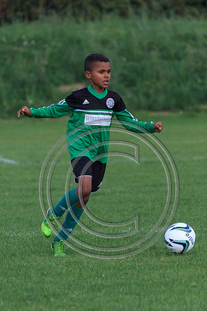 Eldon-2014 983
