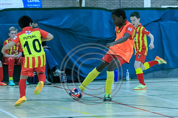 FT0515 (1265)