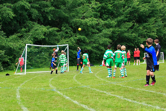 130629 Sandhurst Wanderers U8 at BTJ U9 Trny (225)