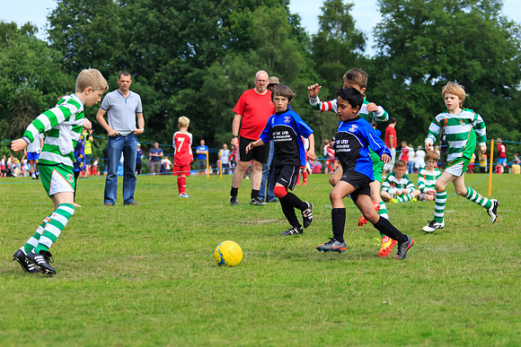 130629 Sandhurst Wanderers U8 at BTJ U9 Trny (218)