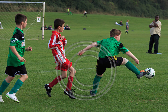 Eldon-2014 986