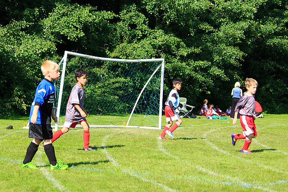130629 Sandhurst Wanderers U8 at BTJ U9 Trny (334)