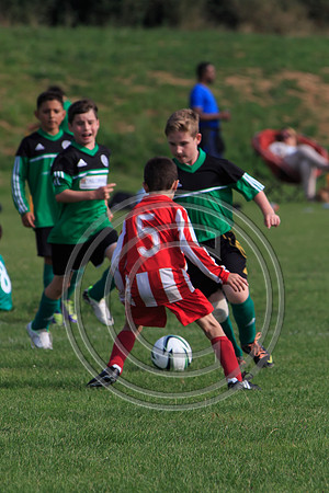Eldon-2014 1042