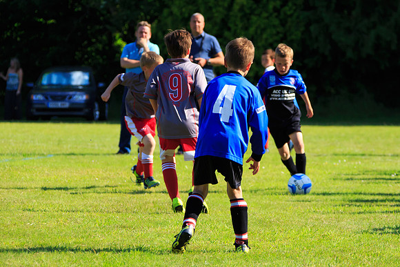 130629 Sandhurst Wanderers U8 at BTJ U9 Trny (388)