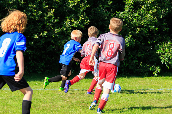 130629 Sandhurst Wanderers U8 at BTJ U9 Trny (409)