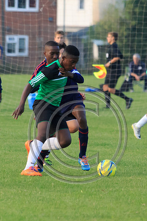 Eldon-2014 1460