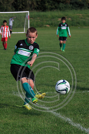 Eldon-2014 1052