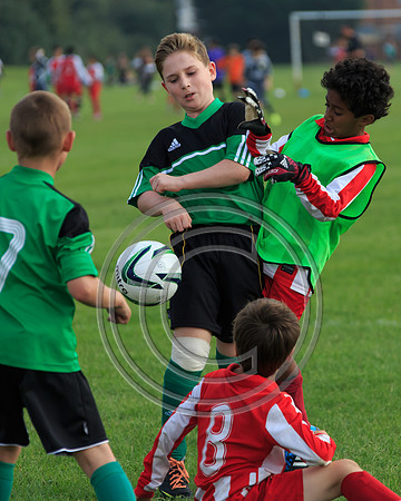Eldon-2014 996