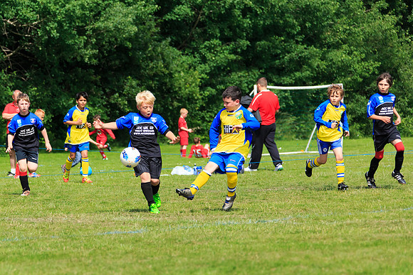 130629 Sandhurst Wanderers U8 at BTJ U9 Trny (154)