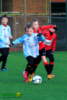 140208 B Cav U9 v Finch Falcons 026-2