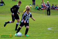 140505 Magpies U10 Ascot Tourny 015