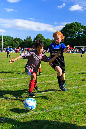 130629 Sandhurst Wanderers U8 at BTJ U9 Trny (429)