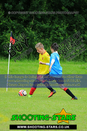 U13-2166