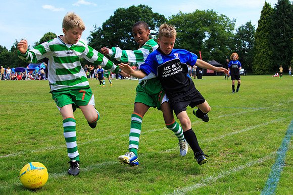 130629 Sandhurst Wanderers U8 at BTJ U9 Trny (265)