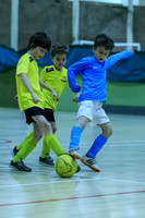 FT0515 (263)
