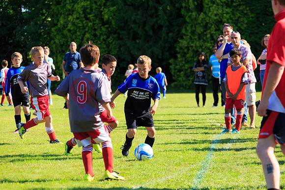 130629 Sandhurst Wanderers U8 at BTJ U9 Trny (431)