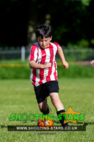 U10HH24DB-0019