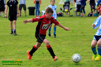 140614 B Cav U9 Tourny 012