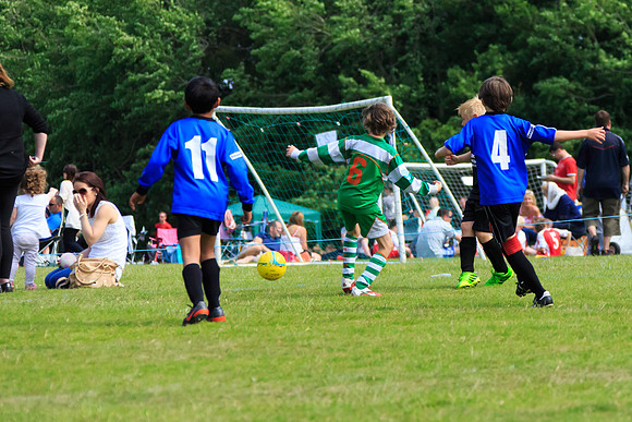 130629 Sandhurst Wanderers U8 at BTJ U9 Trny (181)
