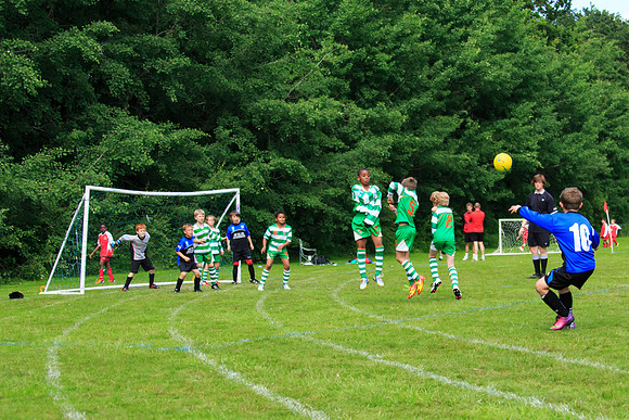 130629 Sandhurst Wanderers U8 at BTJ U9 Trny (224)