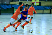 FT0515 (590)