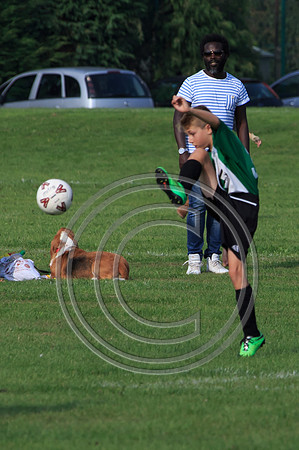 Eldon-2014 1068
