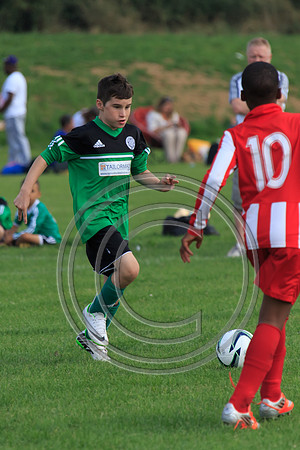 Eldon-2014 978