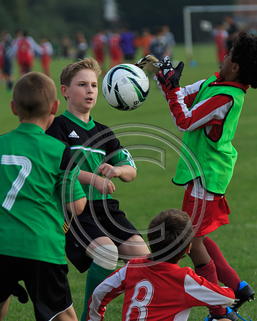 Eldon-2014 994