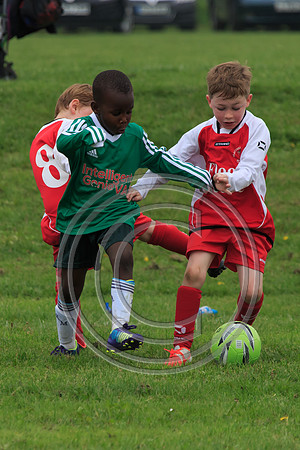 Eldon-2014 254