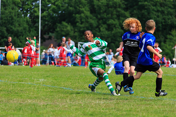 130629 Sandhurst Wanderers U8 at BTJ U9 Trny (210)