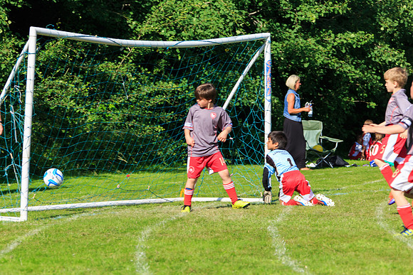 130629 Sandhurst Wanderers U8 at BTJ U9 Trny (347)