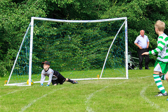 130629 Sandhurst Wanderers U8 at BTJ U9 Trny (198)