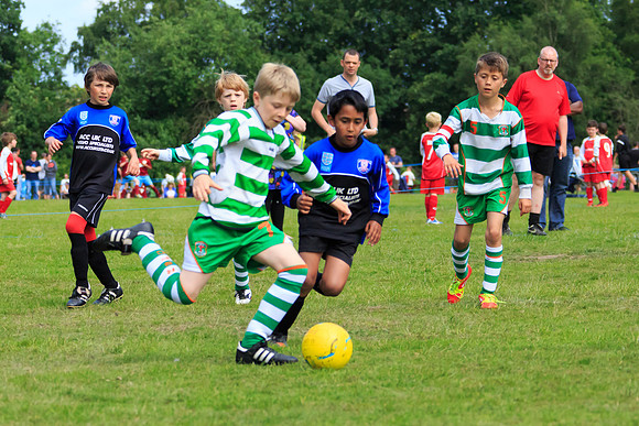 130629 Sandhurst Wanderers U8 at BTJ U9 Trny (219)