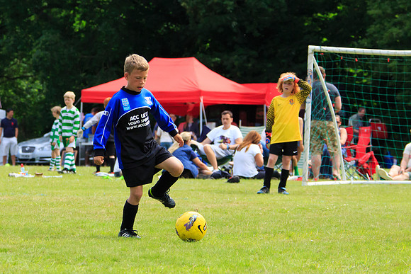 130629 Sandhurst Wanderers U8 at BTJ U9 Trny (100)