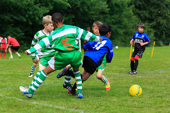 130629 Sandhurst Wanderers U8 at BTJ U9 Trny (222)