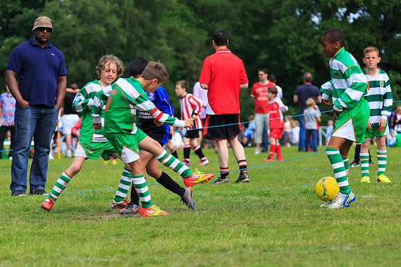 130629 Sandhurst Wanderers U8 at BTJ U9 Trny (238)