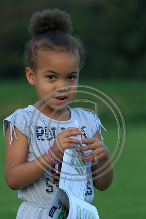 Eldon-2014 1536