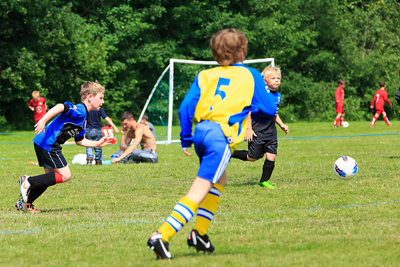 130629 Sandhurst Wanderers U8 at BTJ U9 Trny (152)