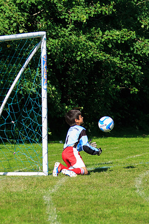 130629 Sandhurst Wanderers U8 at BTJ U9 Trny (449)